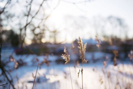 Winter in Copenhagen