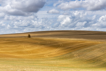 Fototapeta na wymiar Mown Grain Field with Straw and Clouds