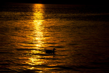 tramonto sul lago