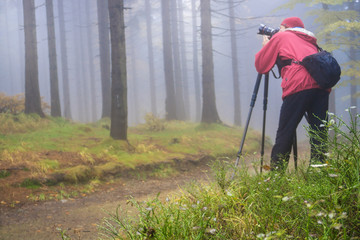 Photographer takes pictures of the magic autumn forest in a dark key