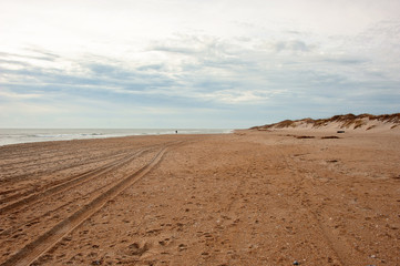 beach sand landscape 2