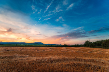 sunset on the field in alsace