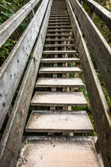 footpath at a mountain