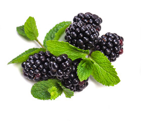 Blackberry with  mint leaves isolated on white