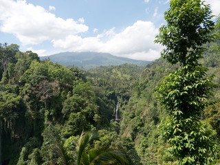 Fototapeta na wymiar Waterfall in green rainforest. Triple waterfall Sekumpul in the mountain jungle. Bali,Indonesia. Travel concept.