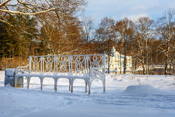 Alley in Catherine park at Tsarskoe Selo in winter. Pushkin. Saint Petersburg. Russia