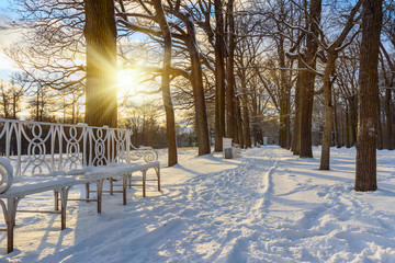 Alley in Catherine park at Tsarskoe Selo in winter. Pushkin. Saint Petersburg. Russia