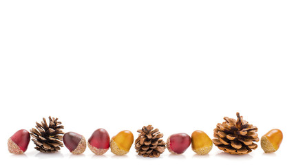 Sieben Eicheln und drei Kiefernzapfen vor einem weißen Hintergrund