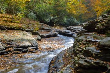 Naklejka na ściany i meble Natural Watersides at Ohiopyle State Park during fall
