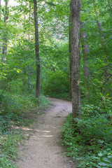 Fototapeta na wymiar Hiking trail through the woods in Montgomery County Maryland