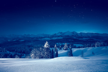 Obraz premium Gwiaździsta zimowa noc