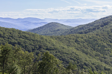 Obraz premium The Shenandoah Valley from a lookout at Skyline Drive with wild flowers