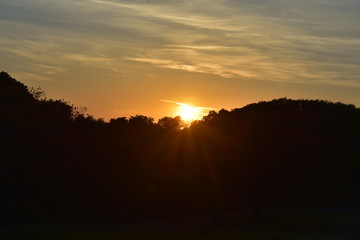 Sun going behind the trees