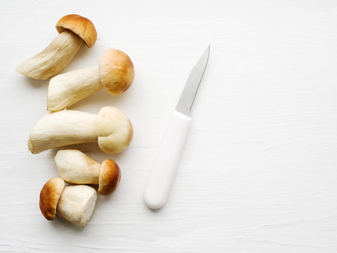 Autumn fresh boletus mushrooms. Forest cepes on a white surface of a table, close up. 