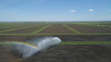 Aerial view of Crop Irrigation using the center pivot sprinkler system. An irrigation pivot watering agricultural land. Irrigation system watering farm land.