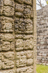 A typical view at Copan Ruins in Honduras.