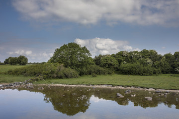 Fototapeta na wymiar Fluss in Irland