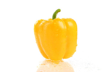 Gelbe mit Wassertropfen bedeckte gelbe Paprika