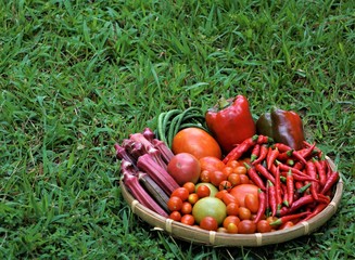 Vegetables in the bamboo basket is all from our own small vegetables garden, very fresh and healthy isolated on the green grass background, Summer in GA USA.           