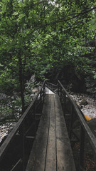 Obraz premium Bridge in forest