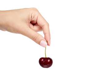 Sweet ripe cherry with hand isolated on white background, copy space template.