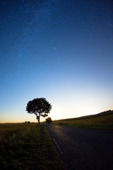 Noc gwiazdy drzewo nocne rozgwieżdżone niebo Polska kaszuby © Dariusz