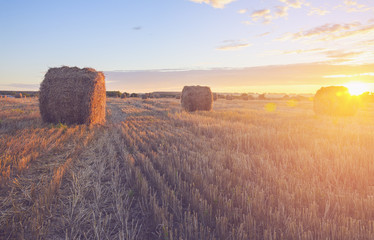 Hay bales on the field after harvesting illuminated by the warm light of setting sun.
