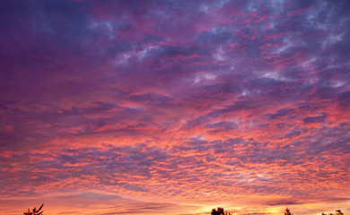 Red Sky in the Morning