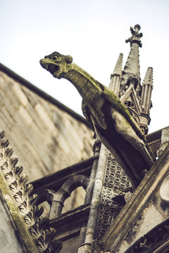 Mythical creature of cathedral frontage in Paris