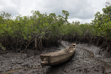 Fototapeta na wymiar Guinean Mangrove Swamp with Traditional Boat During Low Tide