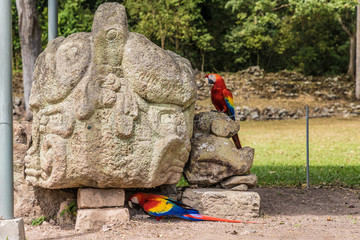 A typical view at Copan Ruins in Honduras.