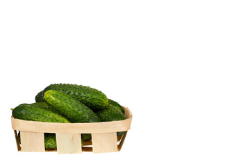 Fresh green cucumber with package isolated on the white background, copy space template.