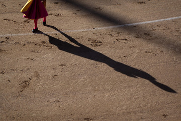 Evening of bulls in Spain
