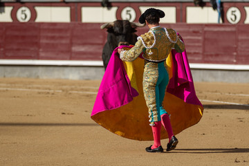 Bullfighter in front of the bull