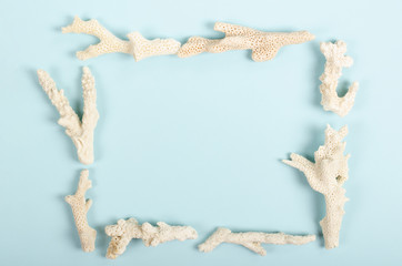 Flat lay concept of summer travel vacations, top view of coral on pastel blue background with copy space in minimal style, greeting card template