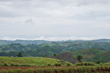 Fototapeta premium Mountain View in the rainy season, Phetchabun, Thailand.