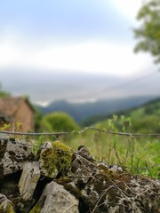 Paisaje rural