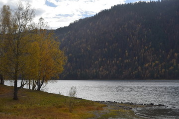  The shore of the Teletskoye lake in the autumn. Mountain Altai. Russia.