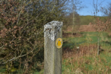 Footpath sign in the Lake District
