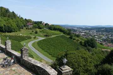 Fototapeta na wymiar Steirische Landschaft mit Weinanbau