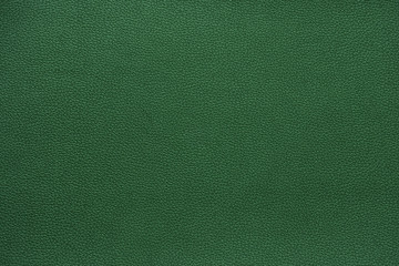 Beautiful abstract texture detail background of green genuine cow leather.