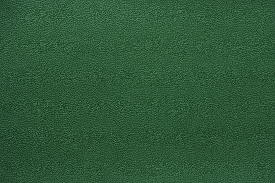 Beautiful abstract texture detail background of green genuine cow leather.