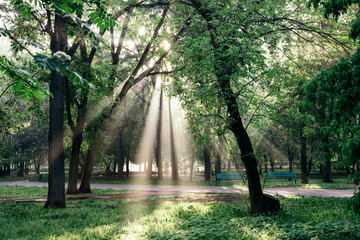 A landscape with a morning park and sun rays making their way through clouds and leaves in the trees.