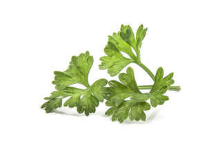 Parsley isolated on white background