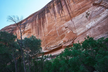 Towering Canyon Walls in Escalante National Monument backpacking through Coyote Gulch