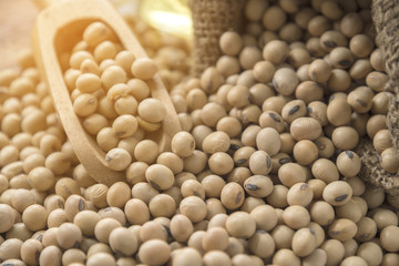 closeup is some soybeans with wooden spoon
