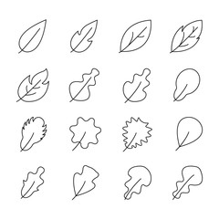 leaf icons set. vector illustration.