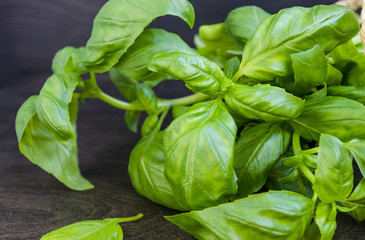 culinary spices, fresh green basil