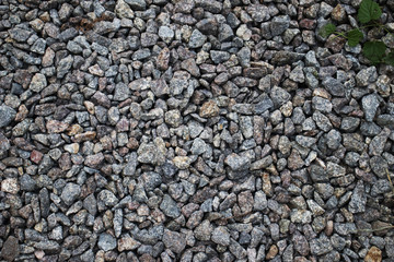 A lot of stones and green leaves