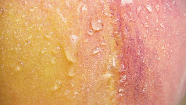 Slow Drops Of Water Flow Down The Fluffy Skin Of A Yellow-orange Peach Close-up